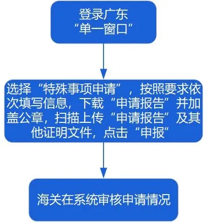 特殊申报流程