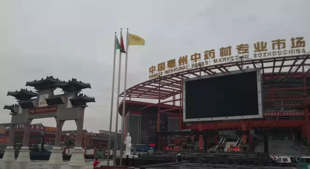 中药材.jpg